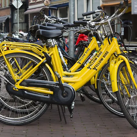 Quentin Arrive Amsterdam