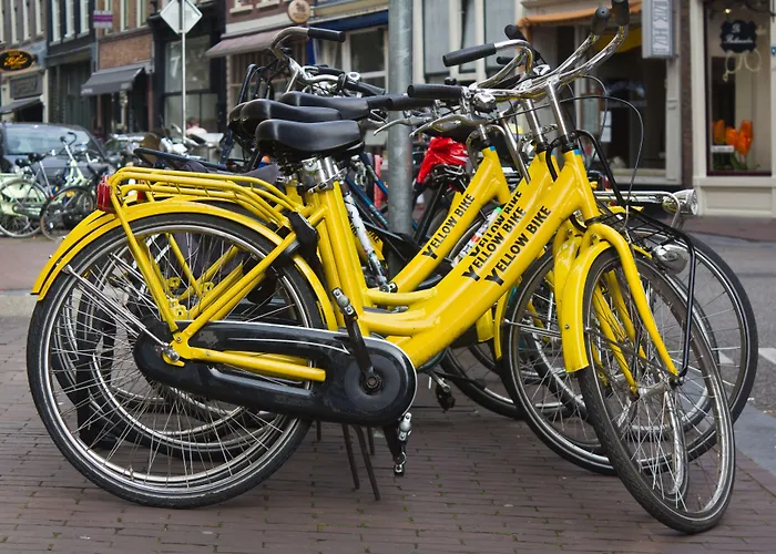 كوينتين آرايف أمستردام